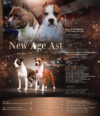 Of The New Age Ast - American Staffordshire Terrier - Portée née le 03/09/2024