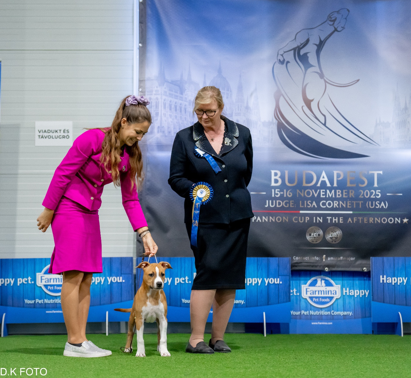 Bienvenue petite nouvelle étoile 